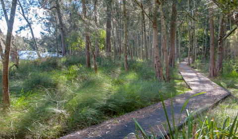 Anabranch Loop Track - Tourism Canberra 3