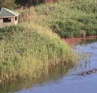 Spring Creek Bird Hide - Tourism Canberra