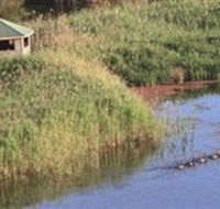 Spring Creek Wetlands Walk - Tourism Canberra