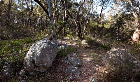 Wadbilliga National Park - Tourism Canberra 2