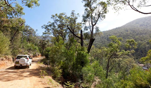 Wadbilliga National Park - Tourism Canberra 3
