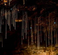 Tamborine Mountain Glow Worm Caves - Tourism Canberra