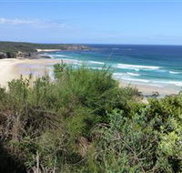 South Pacific Heathland Reserve - Tourism Canberra
