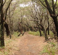 Pretty Beach to Snapper Point walking track - Tourism Canberra