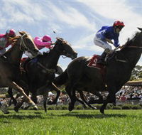 Moruya Racecourse - Tourism Canberra