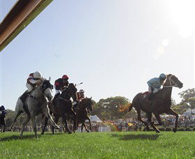 Moruya Racecourse - Tourism Canberra 1