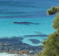 Jervis Bay Marine Park - Tourism Canberra