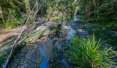 Dawson River Walking Track - Tourism Canberra 0