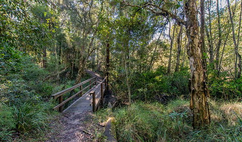 Dawson River Walking Track - Tourism Canberra 1