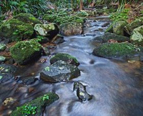 Protesters Falls - Tourism Canberra 7
