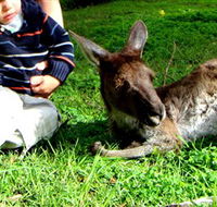 Bunbury Wildlife Park - Tourism Canberra