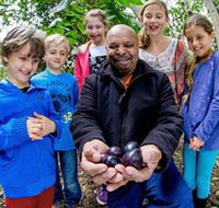 Wigay Aboriginal Culture Park - Tourism Canberra