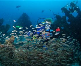 Aarhus Dive Site - Tourism Canberra 0