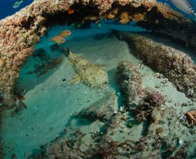 Aarhus Dive Site - Tourism Canberra 3