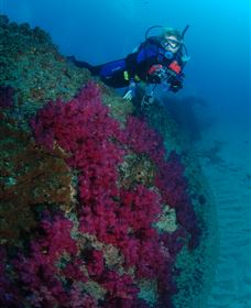 Aarhus Dive Site - Tourism Canberra 2