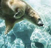 Australia's Sea World - Tourism Canberra