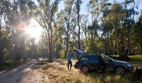 Wallingat Forest Drive - Tourism Canberra 1