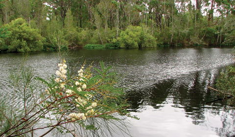 Wallingat National Park - Tourism Canberra 0