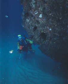 Scottish Prince Dive Site - Tourism Canberra 1