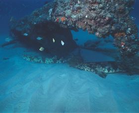 Scottish Prince Dive Site - Tourism Canberra 3