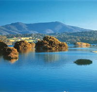Wagonga Picnic Area - Tourism Canberra