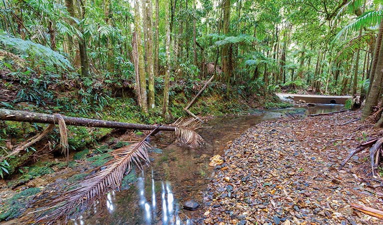 Karangi NSW Tourism Canberra