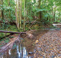 Ulidarra National Park - Tourism Canberra