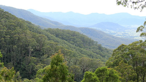 South East Forests National Park - Tourism Canberra 1