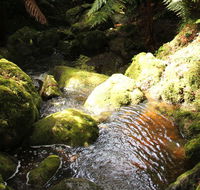 South East Forests National Park - Tourism Canberra