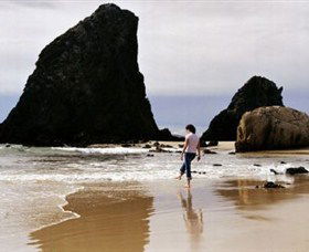 Glasshouse Rocks And Pillow Lava - Tourism Canberra 1