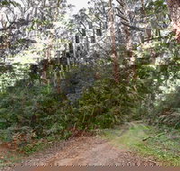 End Peak walking track - Tourism Canberra