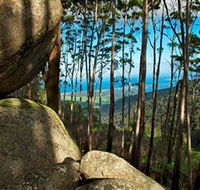 Mount Gulaga Mount Dromedary Walk - Tourism Canberra