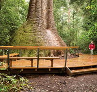 Burrawan State Forest - Tourism Canberra