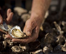 Food, Wine And Farmers Gate Journey On The Legendary Pacific Coast - Tourism Canberra 2