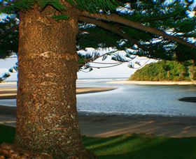 Moonee Beach - Tourism Canberra 1