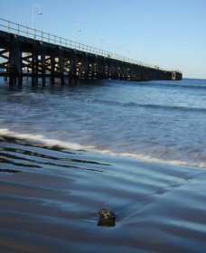 Jetty Beach - Tourism Canberra 0