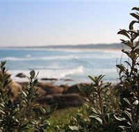 Cape Conran Nature Trail - Tourism Canberra