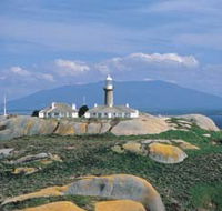 Montague Island Nature Reserve - Tourism Canberra
