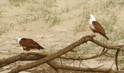 Broadwater National Park - Tourism Canberra 2
