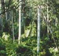 Lind National Park - Tourism Canberra