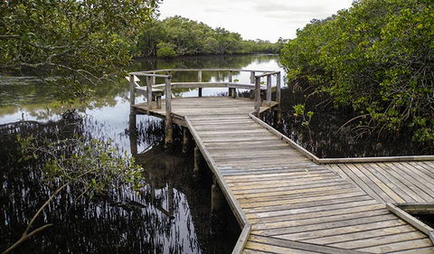 Walk On Water Walking Track - Tourism Canberra 1