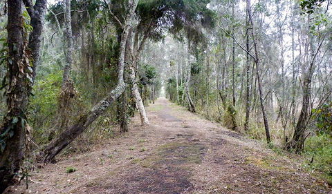 Walk On Water Walking Track - Tourism Canberra 2