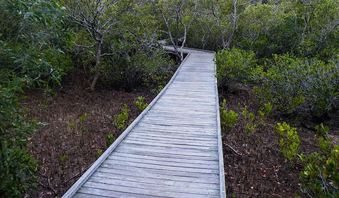 Walk On Water Walking Track - Tourism Canberra 3