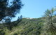Jack Perkins Walking Track - thumb 3