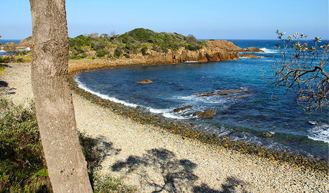 Mimosa Rocks Walking Track - Tourism Canberra 2
