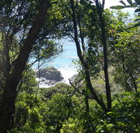 Rainforest walking track - Tourism Canberra