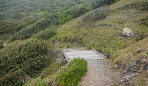Connors Walking Track - Tourism Canberra 2