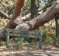 Middle Lagoon walking track - Tourism Canberra
