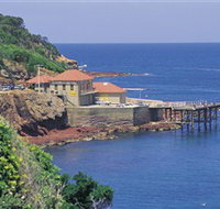Merimbula Aquarium - Tourism Canberra