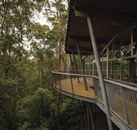 Tarkine Forest Adventures - Dismal Swamp - Tourism Canberra
